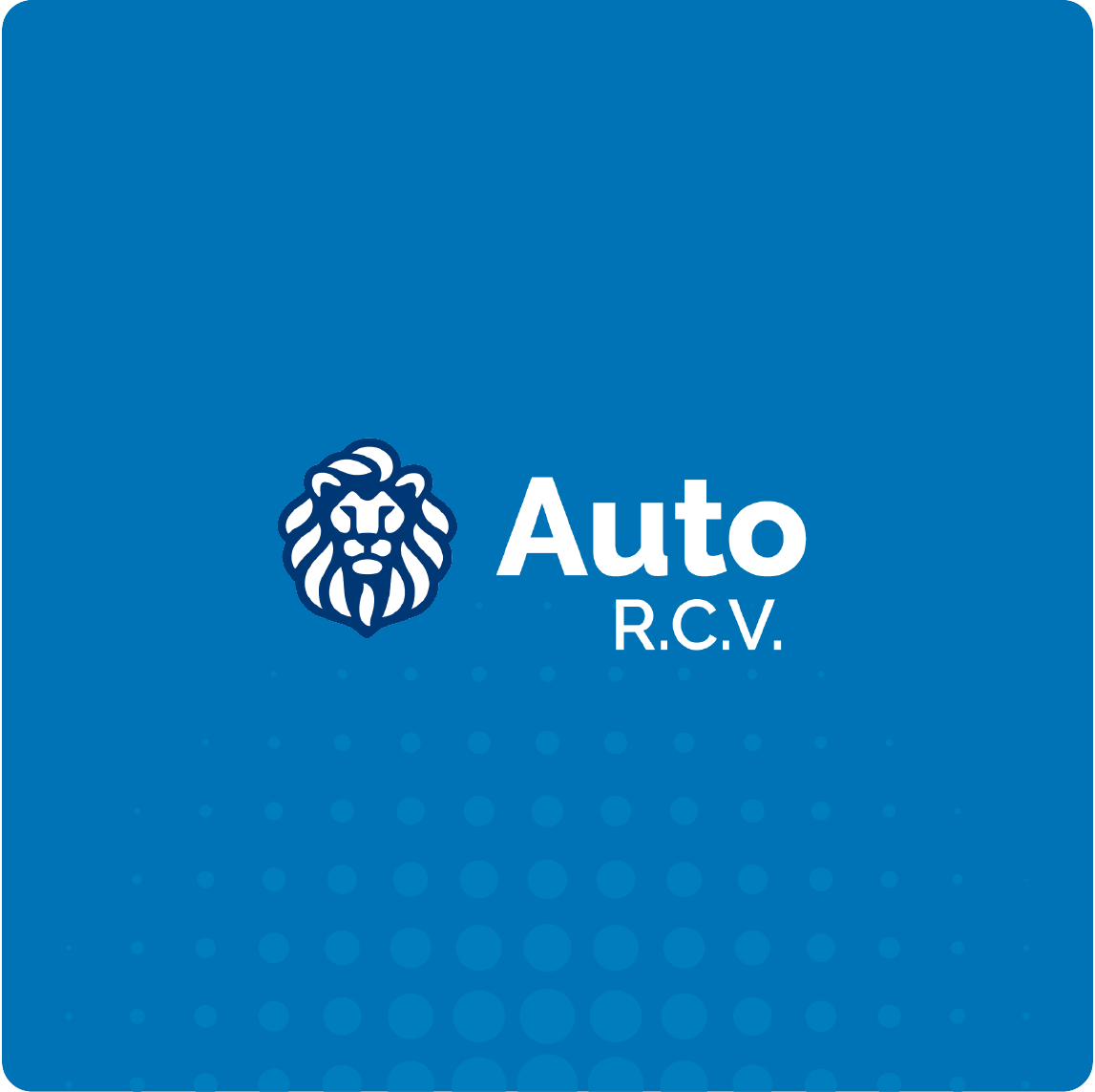 Ramo Auto RCV